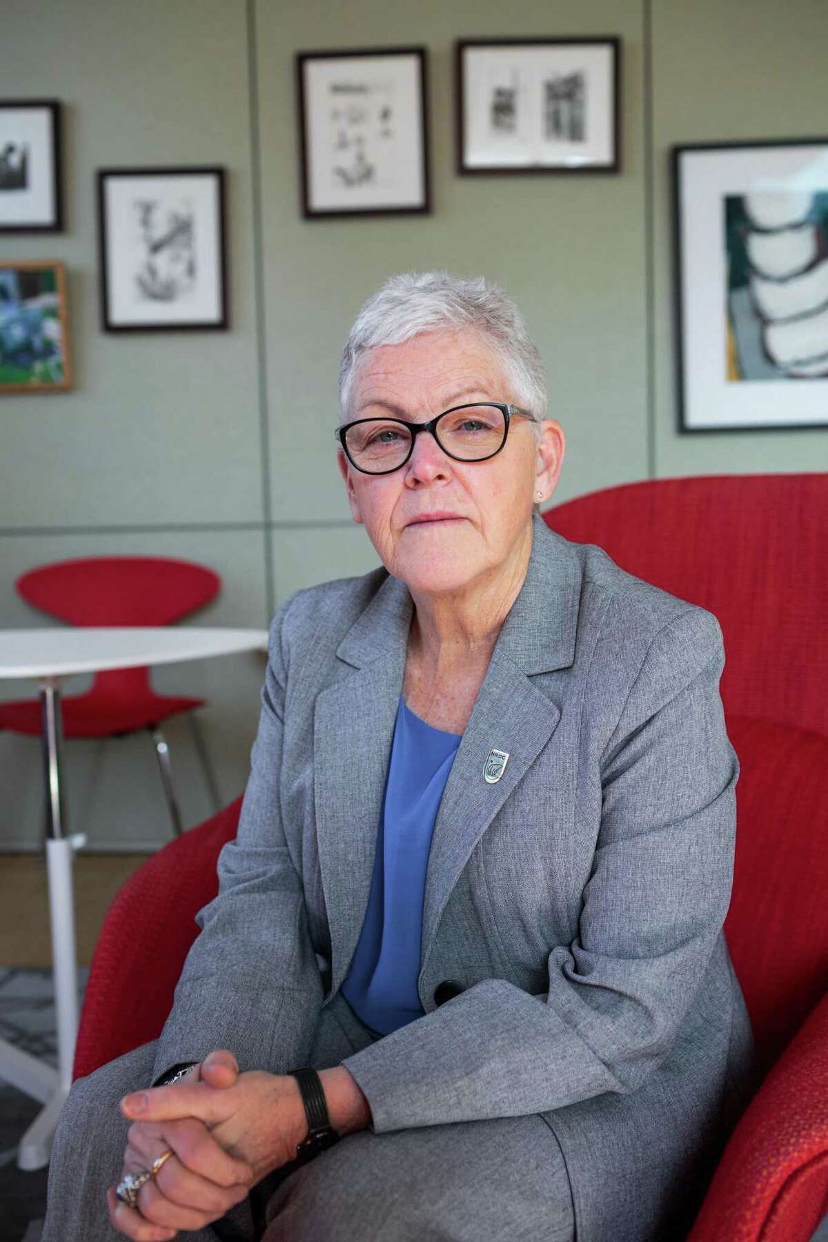 Gina McCarthy, former chief of the Environmental Protection Agency, was named by President-elect Joe to lead a new White House office on climate policy.