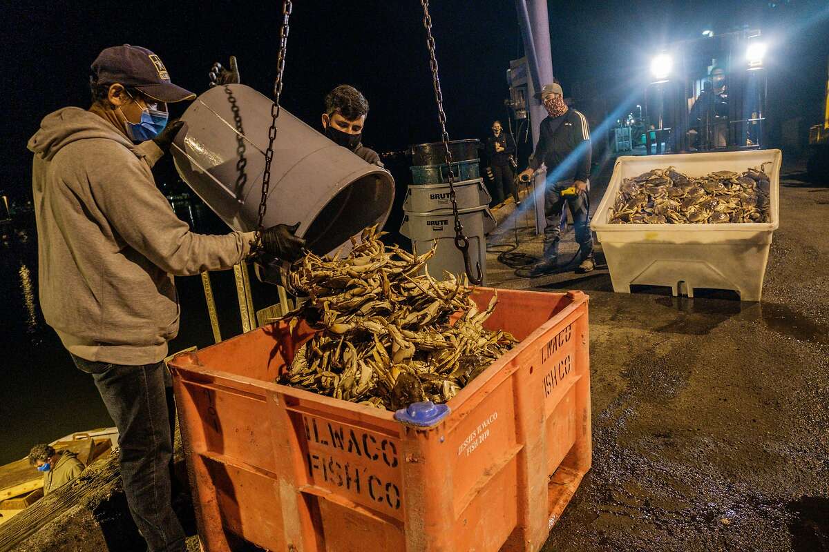 Dungeness crab is unloaded in San Francisco. The season was delayed, and the number of crabs down as part of a natural cycle. It adds up to the crustaceans being more expensive than usual. Sellers say the crabs should be around for months to come..