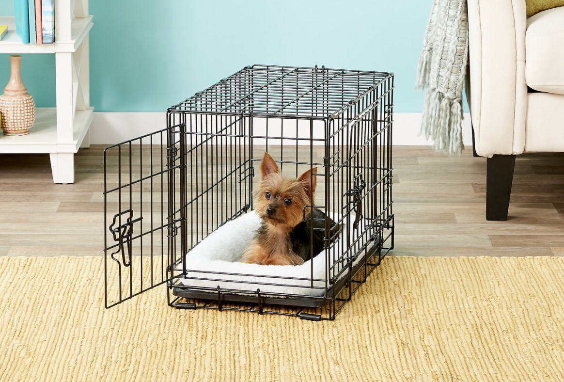 best foldable dog crate