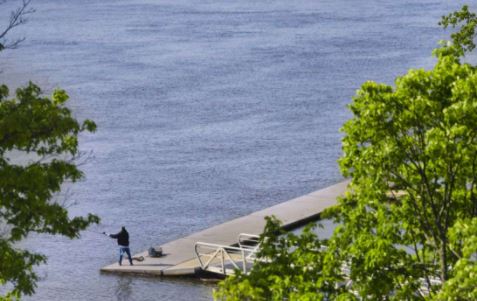 Second company now wants to build a power line in the Hudson River - Vimarsana News