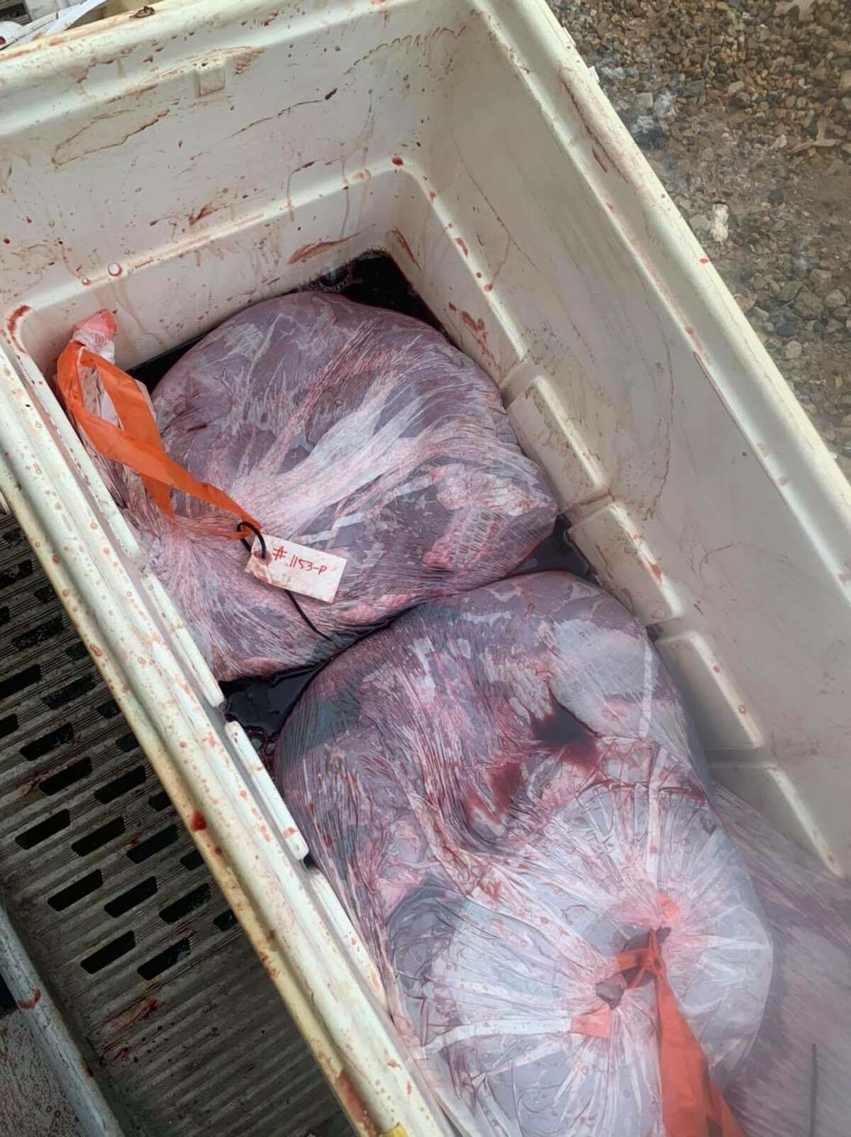 Texas Game Wardens posted about another meat processing bust where they found 22 deer unfit for human consumption on its Facebook page Friday. The wardens found the spoiled meat on Dec. 18 during a routine inspection at Backyard Taxidermy and Deer Processing in Decatur, which is a city about 40 miles north of Forth Worth.