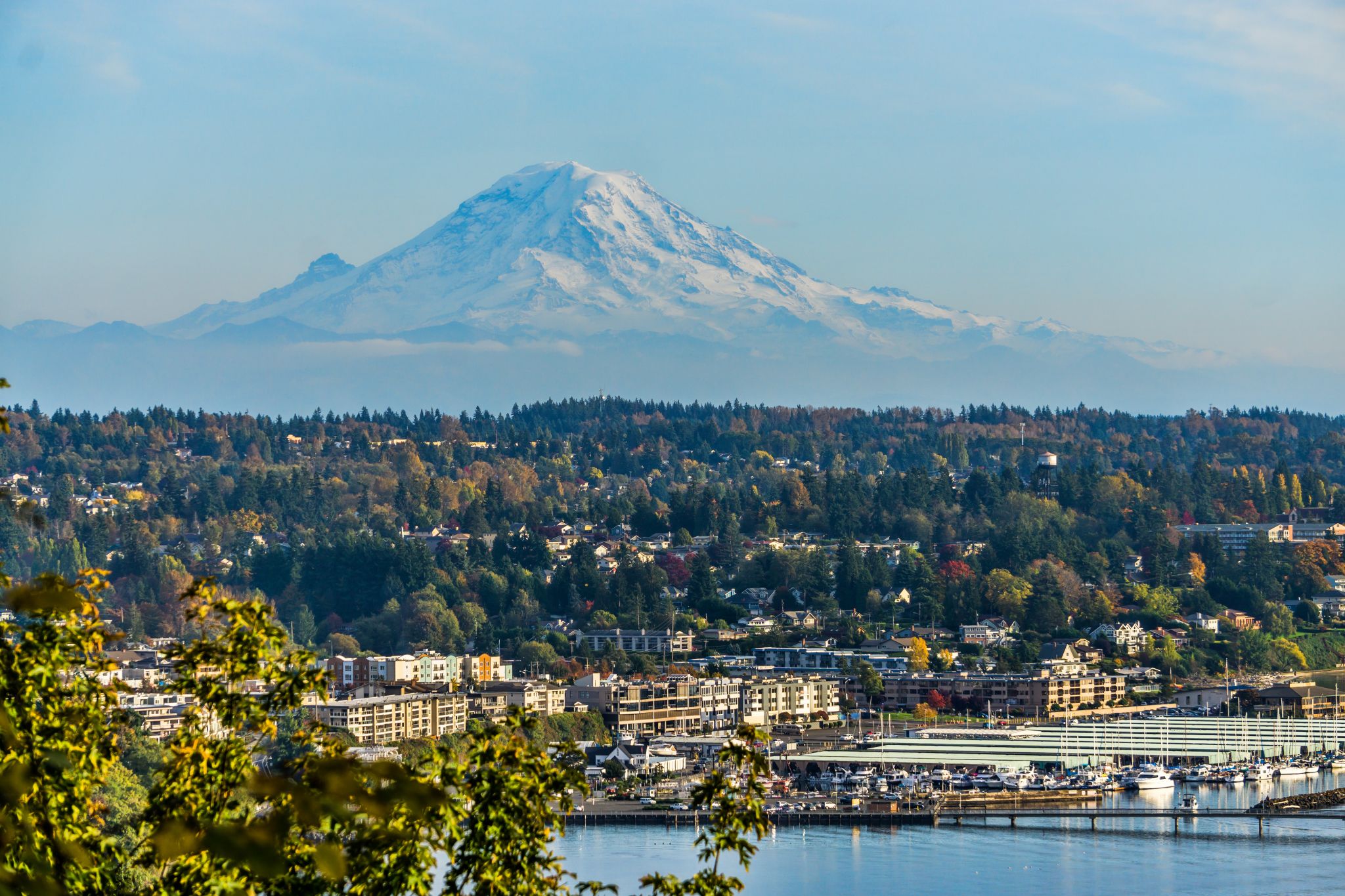 Looking To Buy A Home South Of Seattle? Here's What You Need To Know