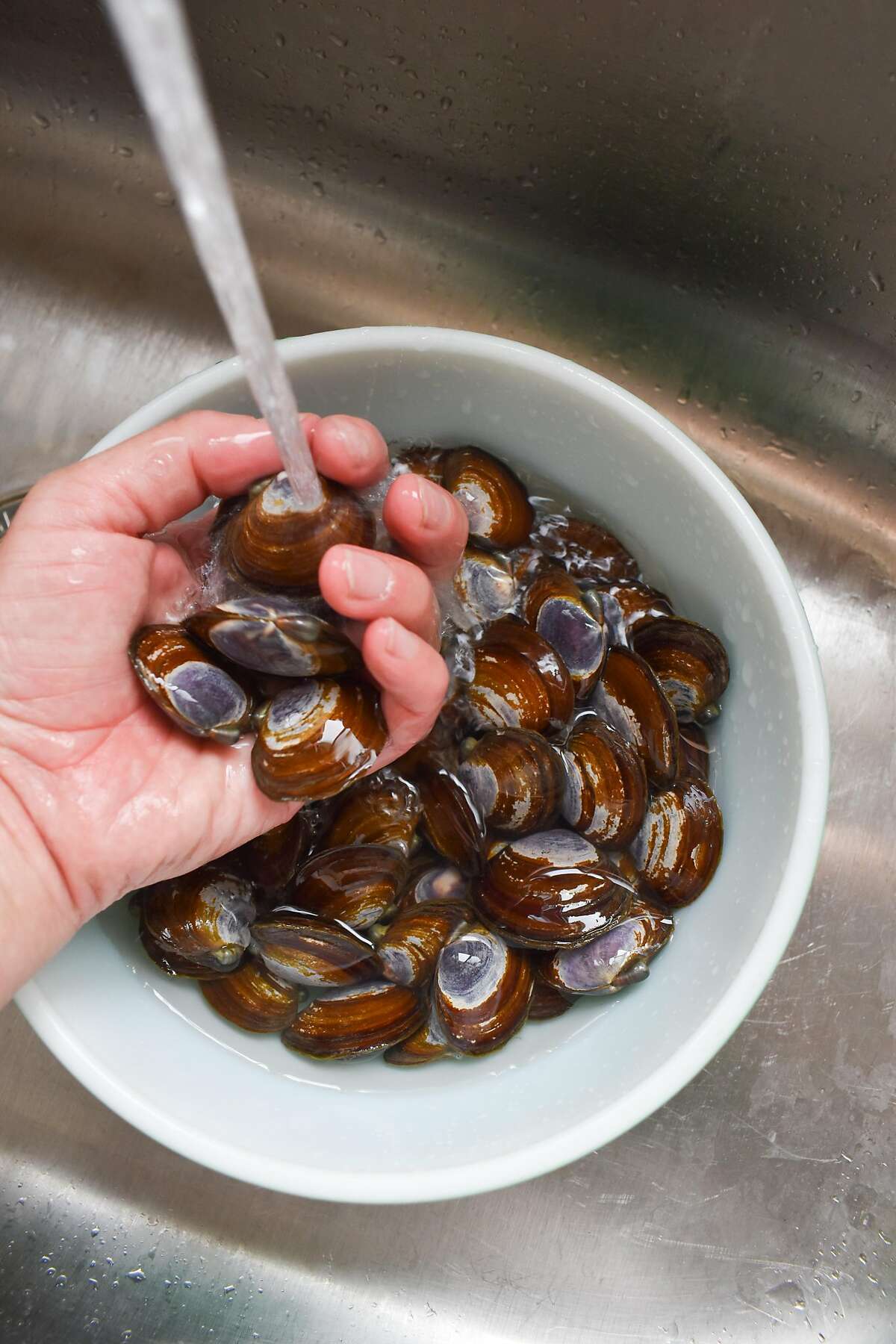 Wash the clams thoroughly.