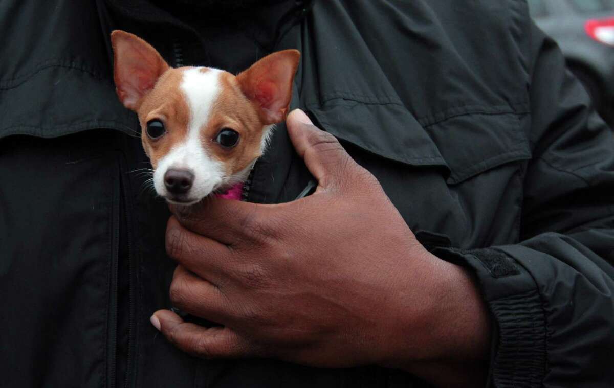 A vigil is held in memory of Mubarak Soulemane at the I95 overpass along Campbell Avenue in West Haven, Conn., on Friday Jan. 15, 2021. Soulemane, a New Haven resident, was fatally shot by state Trooper Brian North after a car chase on Jan. 15, 2020.