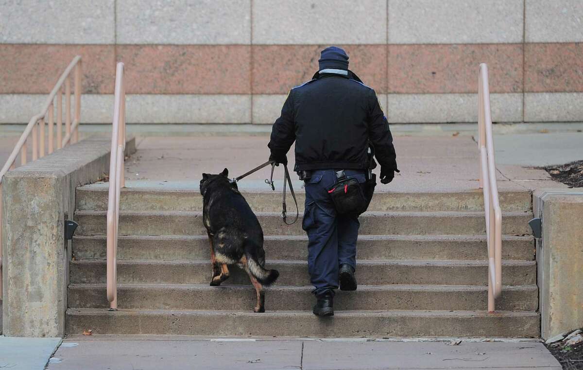 If Connecticut legalizes recreational marijuana, police K-9s trained to smell pot will likely have to retire, according to the Connecticut State Police.