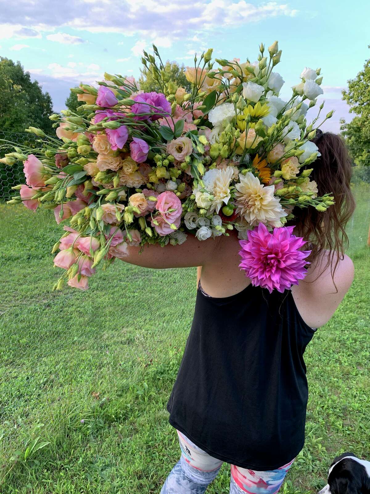 Taylor Ten Eyck harvests flowers for floral arrangements as part of her duties with Twin Dahlias.