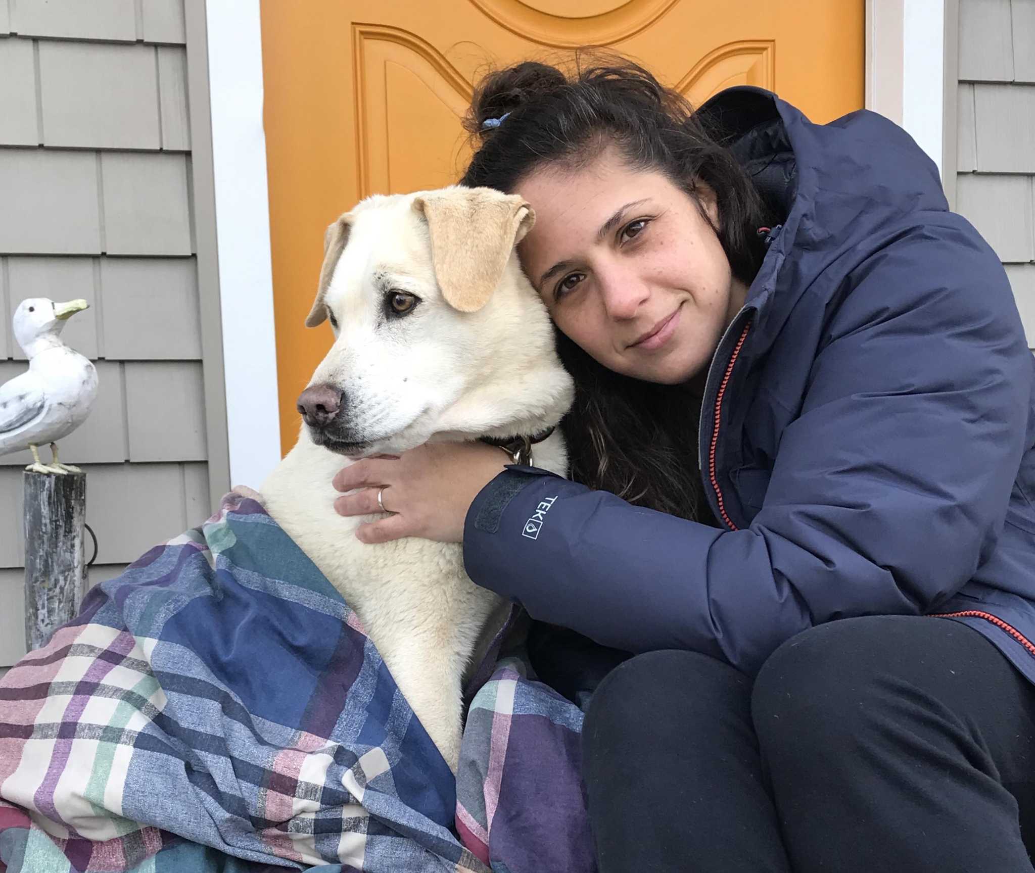 'Symbol of hope': From Wilton to Greenwich, dog lost for 42 days reunited with owner - Vimarsana News