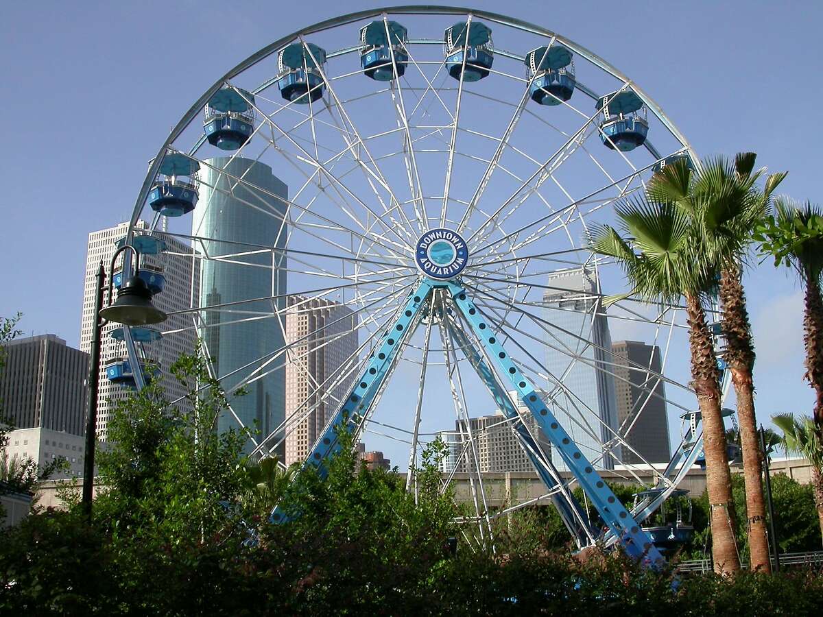 An insider's guide to the Downtown Aquarium in Houston