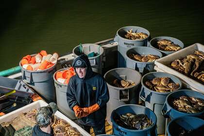 Crabbers Cameron Oliver and Tristan Riche unload their Dungeness crab catch in San Francisco on Jan. 13.