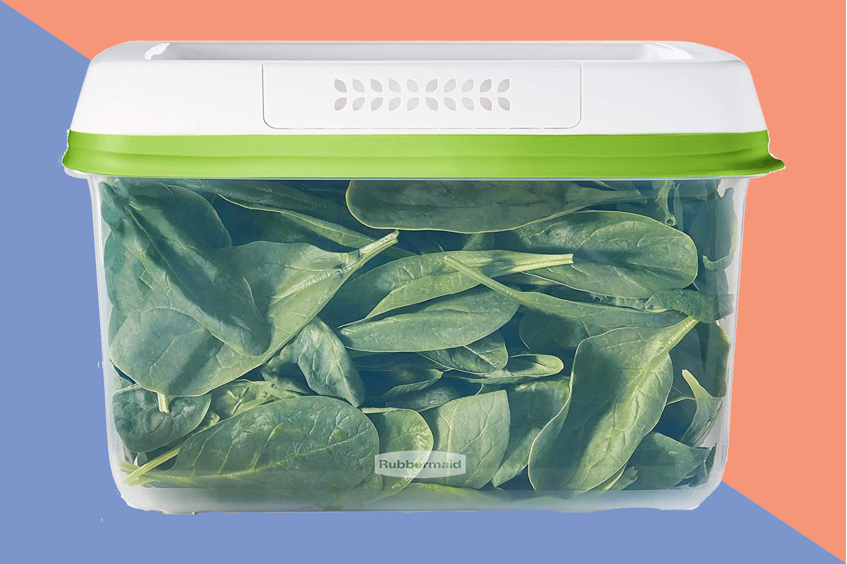 This $10 produce keeper is actually helping me eat healthier