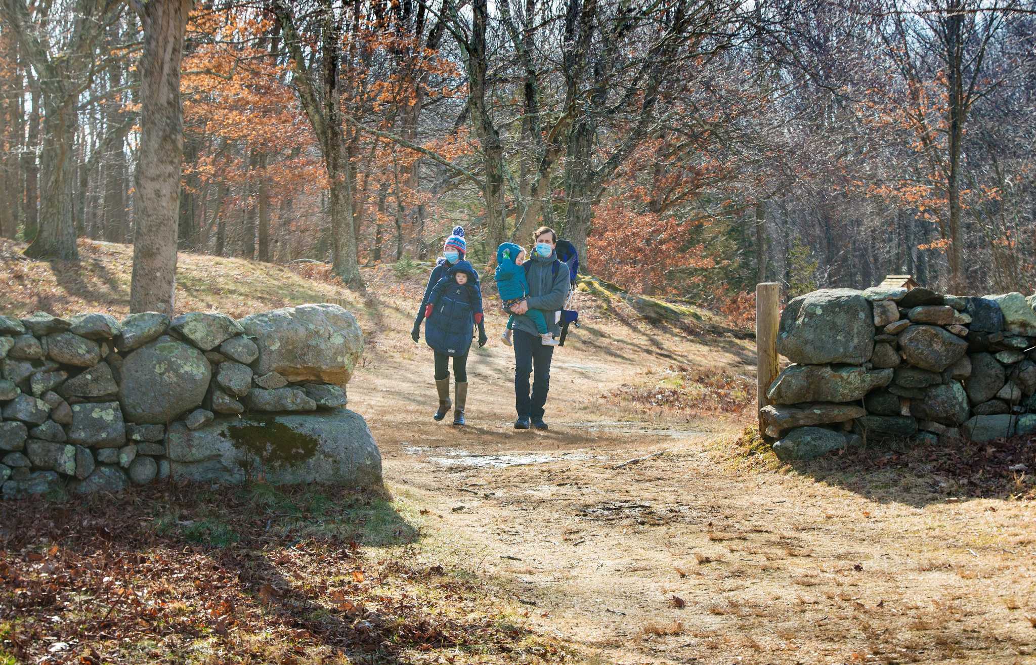 Wilton Weir Farm Art Alliance series episode 5 premiering - Vimarsana News