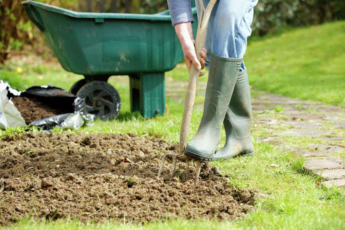 It is the time of the year when our lawns can be given some environmentally appropriate, tender loving care. Consider reusing the leaves on your lawn and aerating and top dressing the lawn.