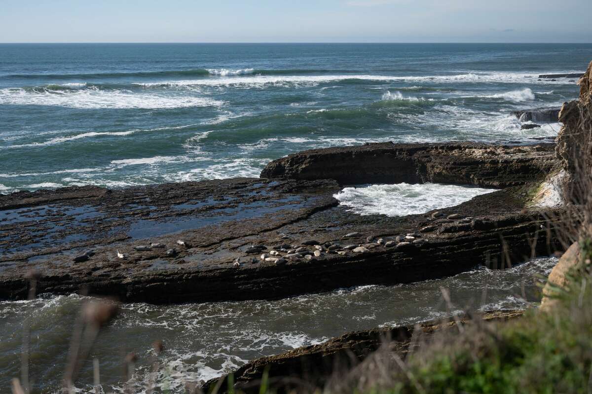 I hiked to a magical sea cave an hour outside SF and want to live there ...