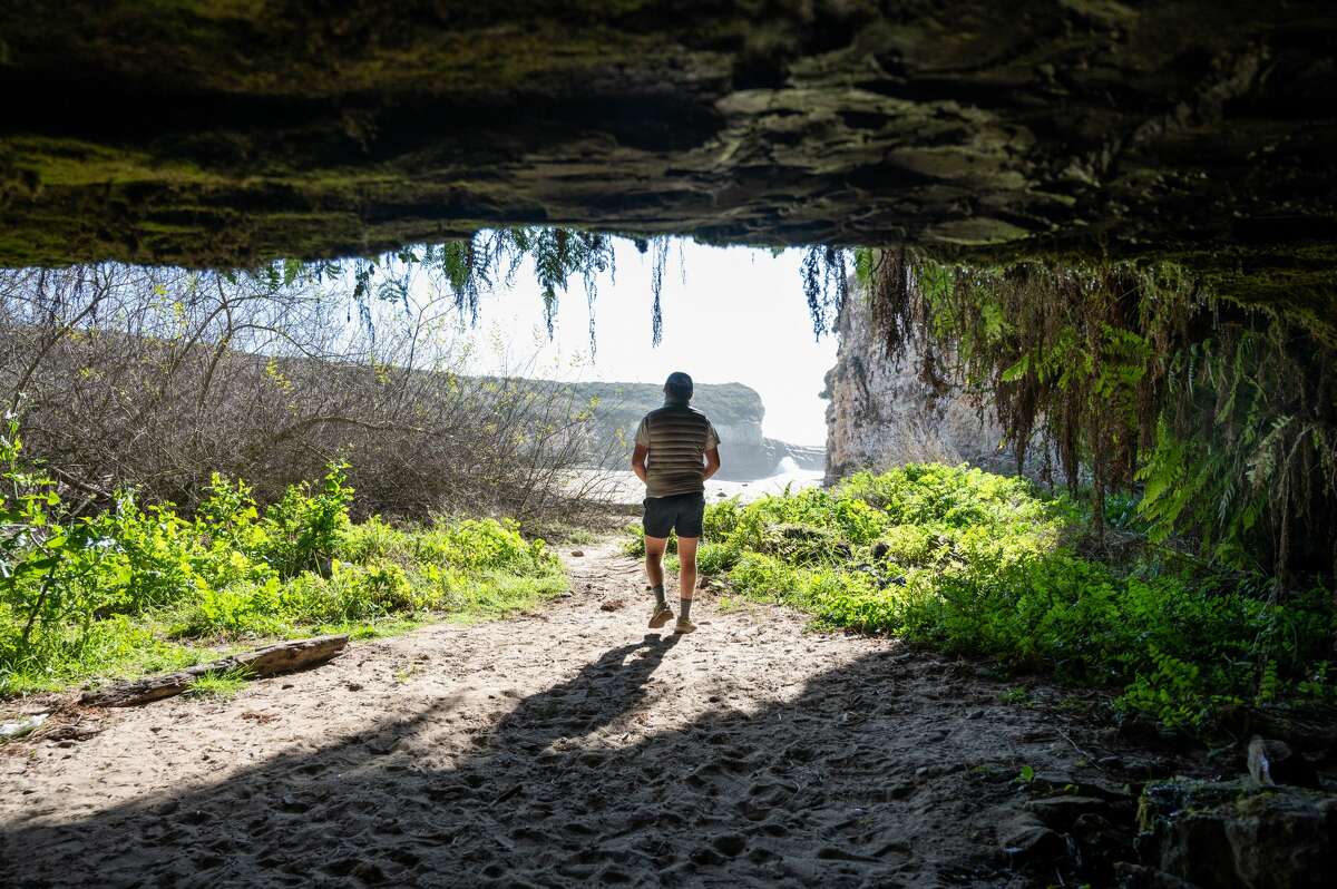 Santa Cruz's Wilder Ranch State Park is home to Fern Grotto Beach, named after a sea cave that is carved into the beach’s sandstone cliffs, just below an underground spring that waters a majestic curtain of emerald ferns hanging above its entrance.