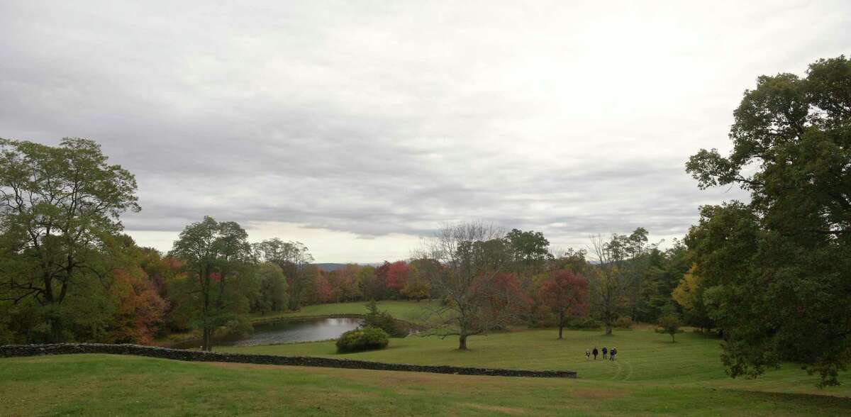 A morning bird watching tour at Deer Pond Farm in Sherman