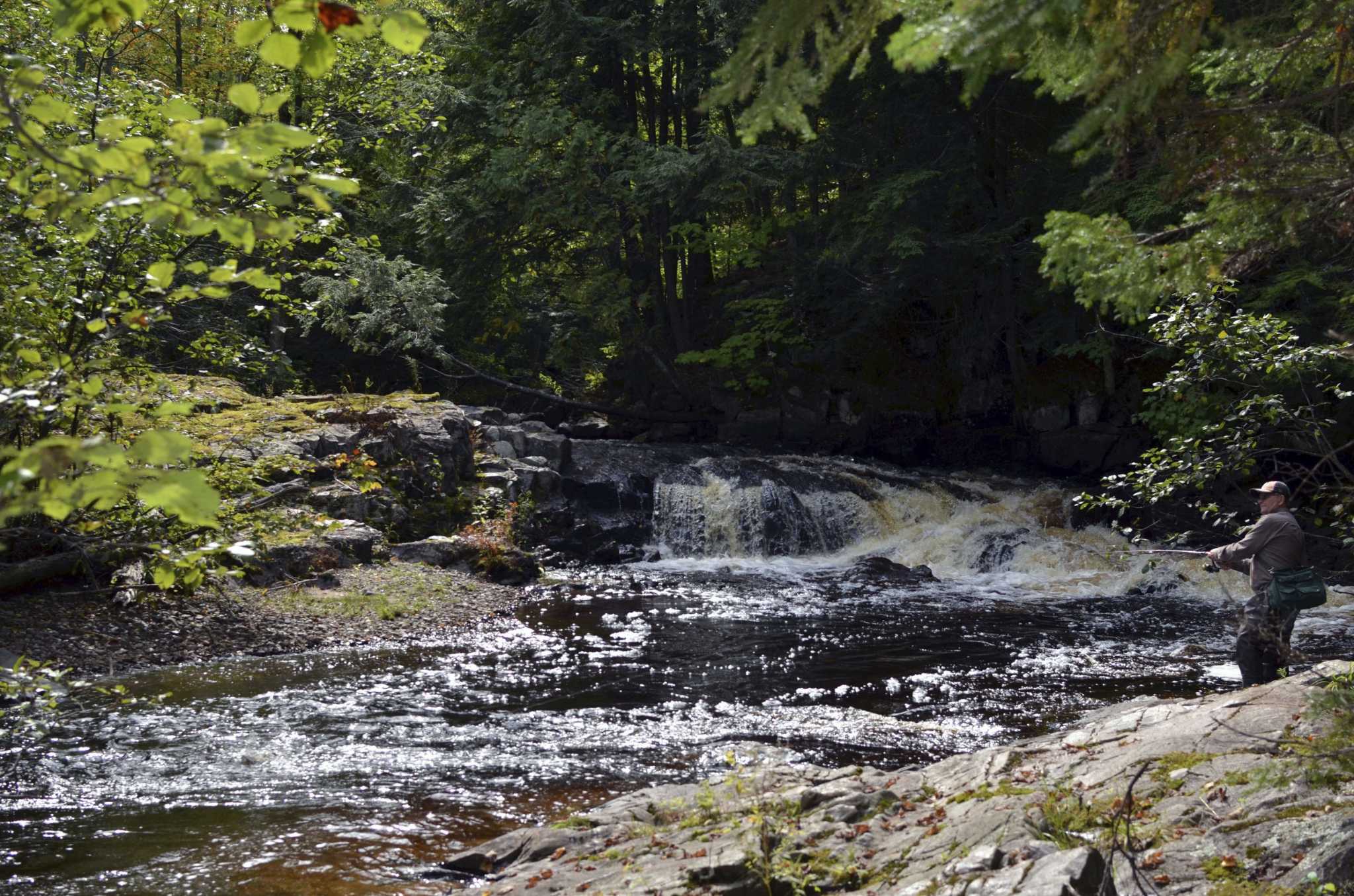 DNR marks a century of Michigan natural resources history, change - Vimarsana News