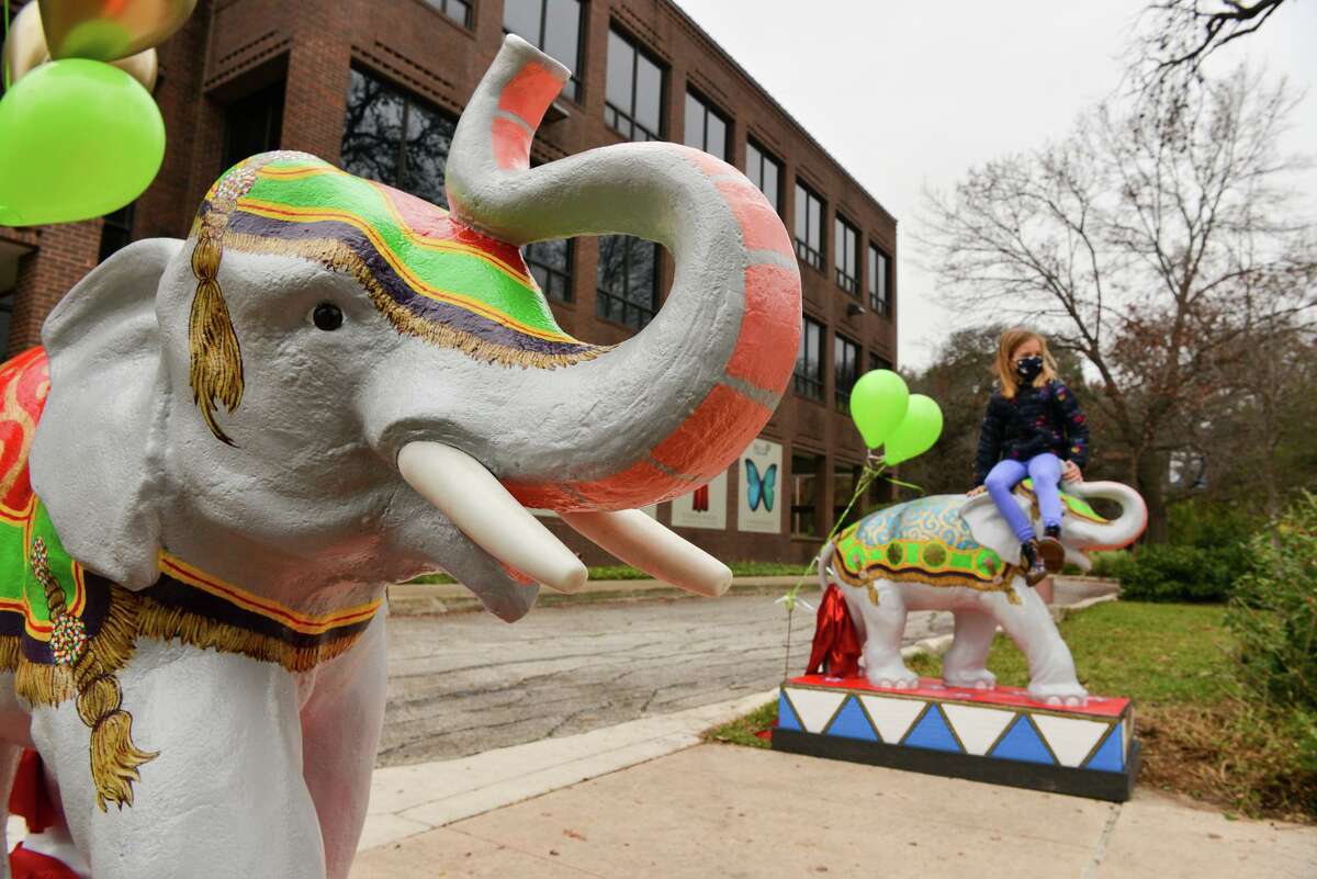 Emerson Bolner plays following the unveiling of restored elephant sculptures from the Hertzberg Circus Collection. The sculptures flank the walkway leading to the B. Naylor Morton Research and Collections Center on the Witte Museum campus.