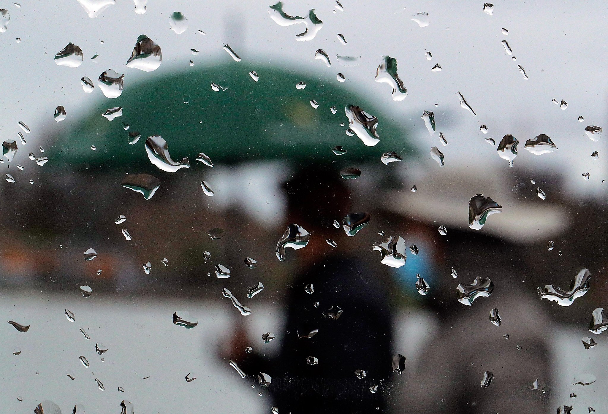 Light rains to return, linger in the Bay Area - Vimarsana News