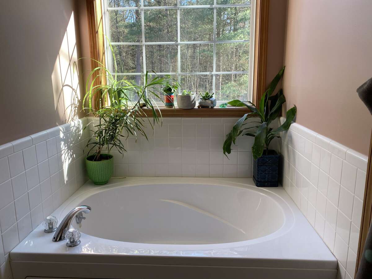 Bathtub is a great perch for plants in Leigh Hornbeck's house.  Otherwise, it is unused.