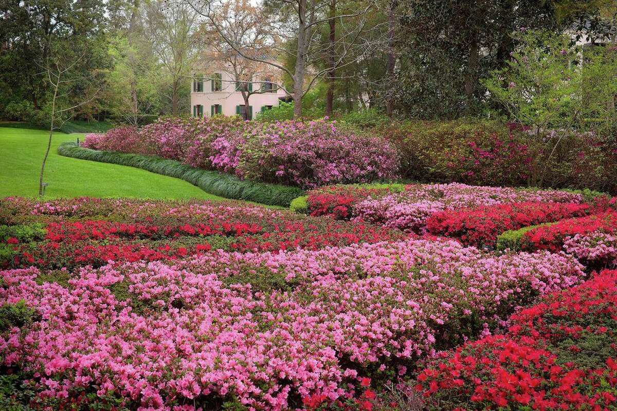 Houston's Azalea Trail skips 2021 — save the date for next year