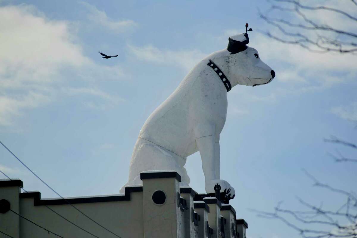 A view of Nipper, the RCA mascot, on top of the former RTA Distributors building in Albany's warehouse district on Thursday, Jan. 28, 2021, in Albany, N.Y. (Paul Buckowski/Times Union)