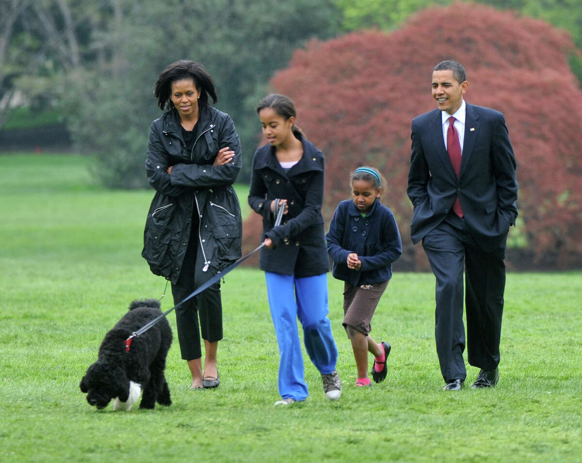 While presidential dogs such as Bo Obama, shown here walking with his family on the south lawn in 2009, do not get Secret Service code names, his canine sister Sunny once (briefly) wore an ID tag that gave her address as 1600 Pennsylvania Avenue.