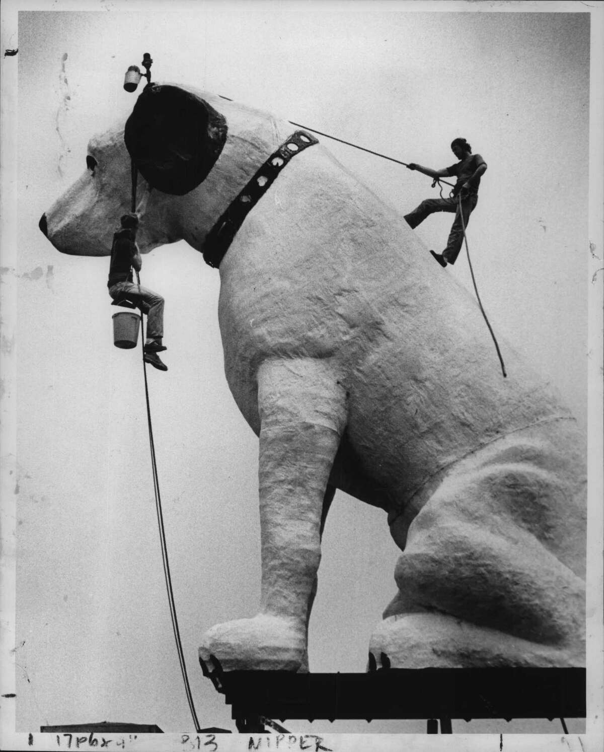 What will of the house Nipper built in Albany?