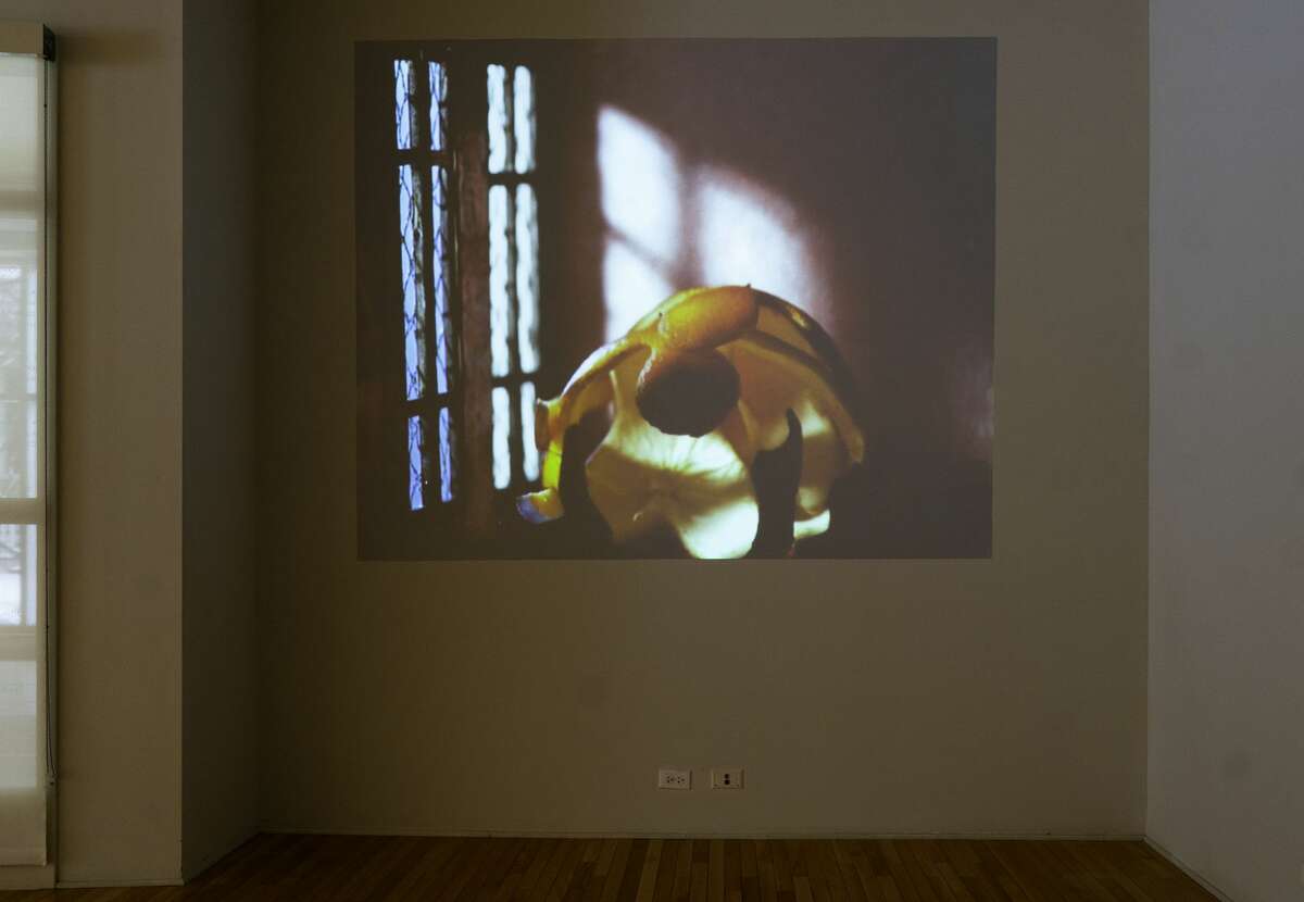 Laleh Khorramian, I Without End, 2008. Time-lapse animation, color with sound, single channel. Photo Wm Jaeger