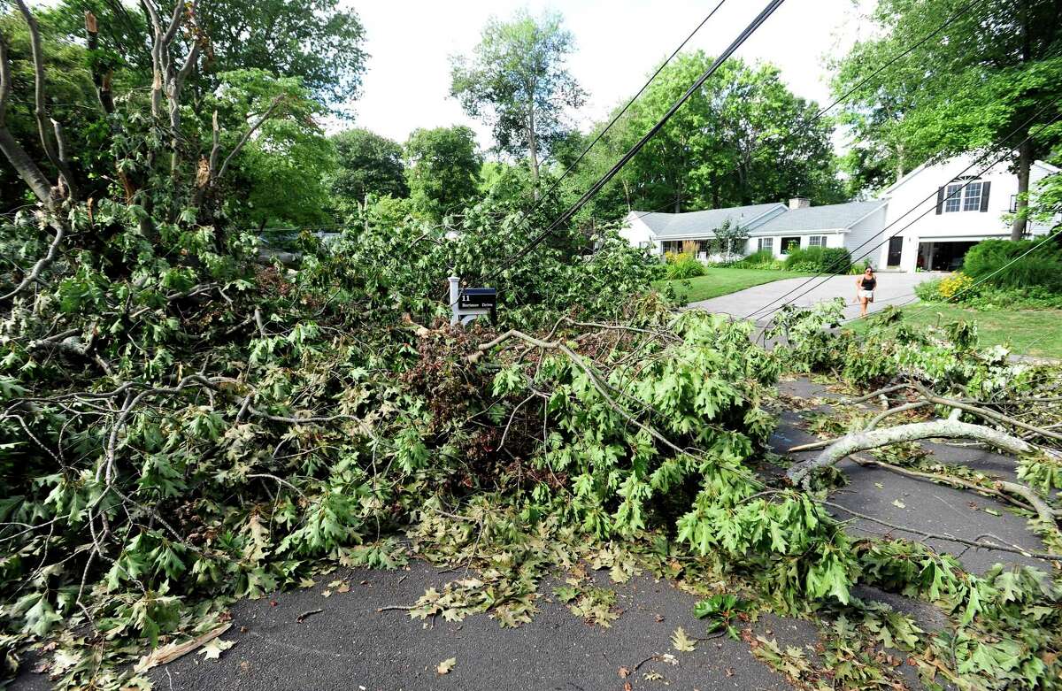 A fallen tree during Tropical Storm Isaias in August 2020 cut power and access to the neighborhood. Naugatuck Valley Council of Governments is hoping to craft a plan to better handle national disasters and is seeking public input.