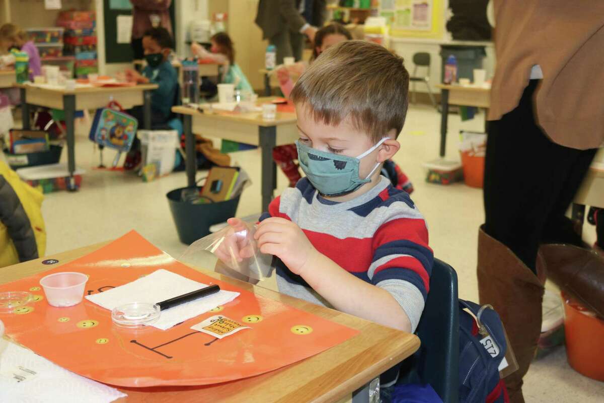 Students at Live Oaks Elementary School work on science projects.