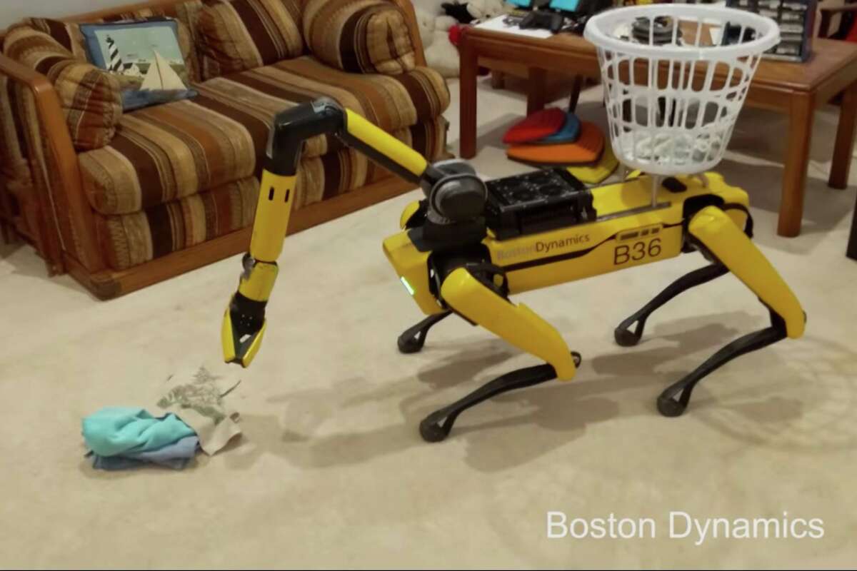 chinese boston dynamics dog