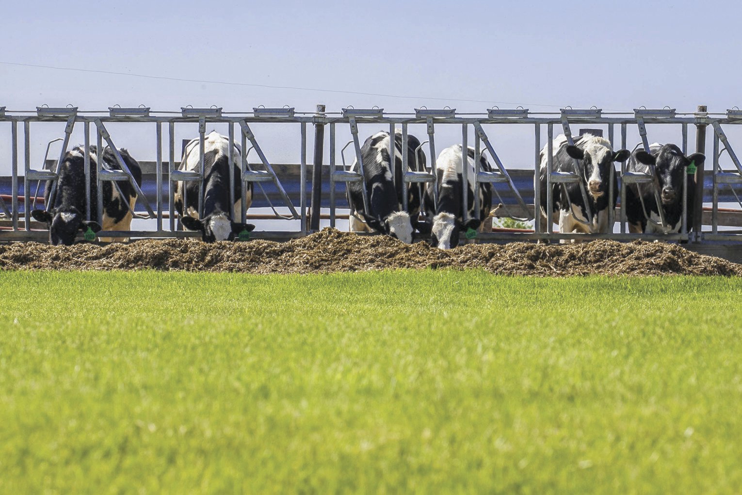 From stink to energy, Thumb farmers want to harness power of methane - Vimarsana News