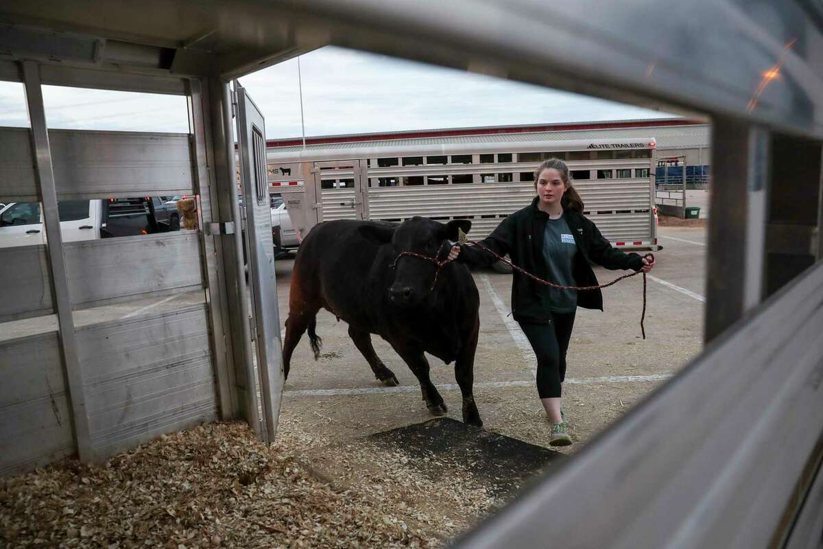 "It hurts, it hurts a lot, I've put so much hard work and time into my heifer. I've been doing this for nine years now and this is the worst way to leave senior year," said Jenna Lloyd as she prepared to leave the Houston Livestock Show and Rodeo after its cancelation was announced due to concerns about COVID-19 on Wednesday, March 11, 2020, at NRG Center in Houston.