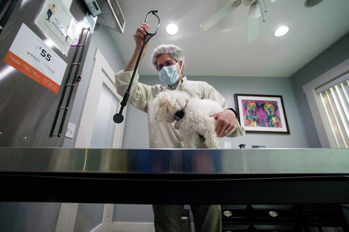 Veterinarian Richard Clive examines a dog at Midtown Veterinary Hospital Thursday, Jan. 28, 2021 in Houston. Clive was planning to open a second location a few blocks away, but the city blocked him from doing so, citing 1922 deed restriction saying the property can't be used for business purposes. But, the second location has been used as a business for decades, and the surrounding properties - all subject to the same deed restriction - are all commercial.