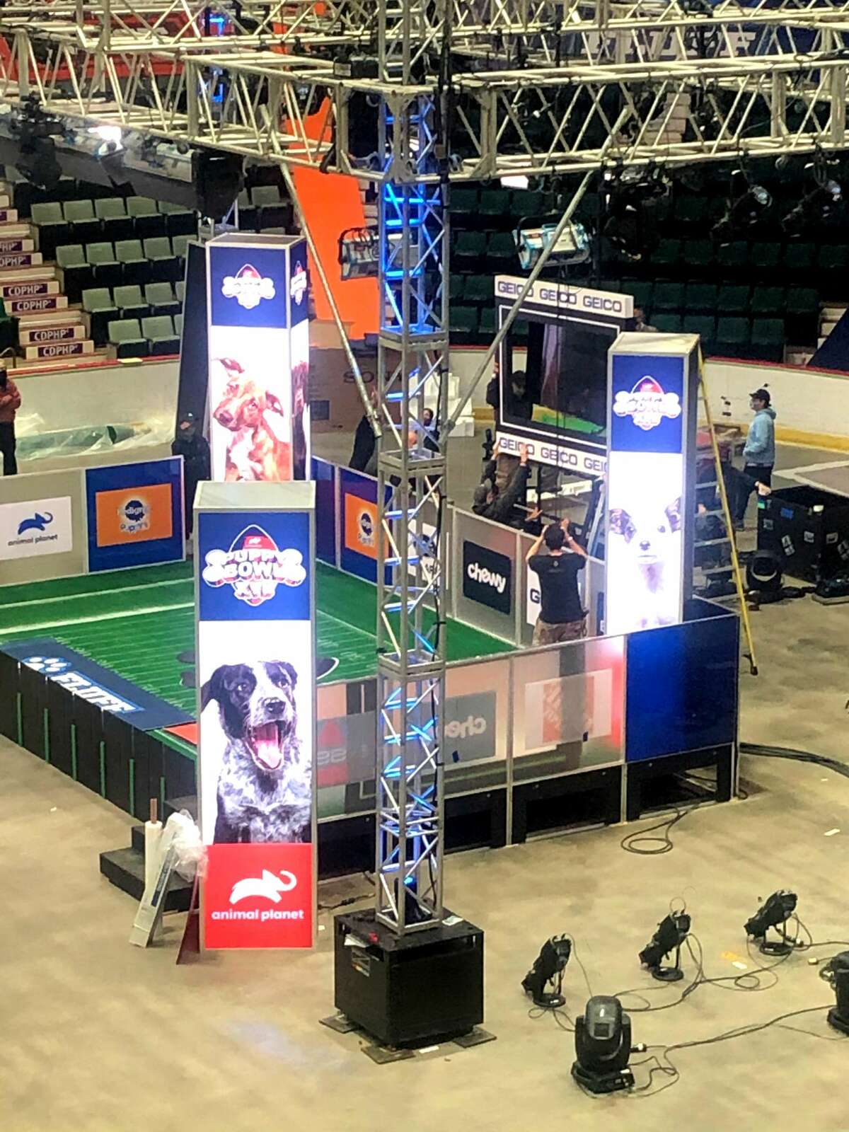 Preparations in October at Cool Insuring Arena in Glens Falls for the filming of the Animal Planet show "Puppy Bowl XVII" airing Sunday, Feb. 7, 2021, on the cable channel. (Provided photo.)