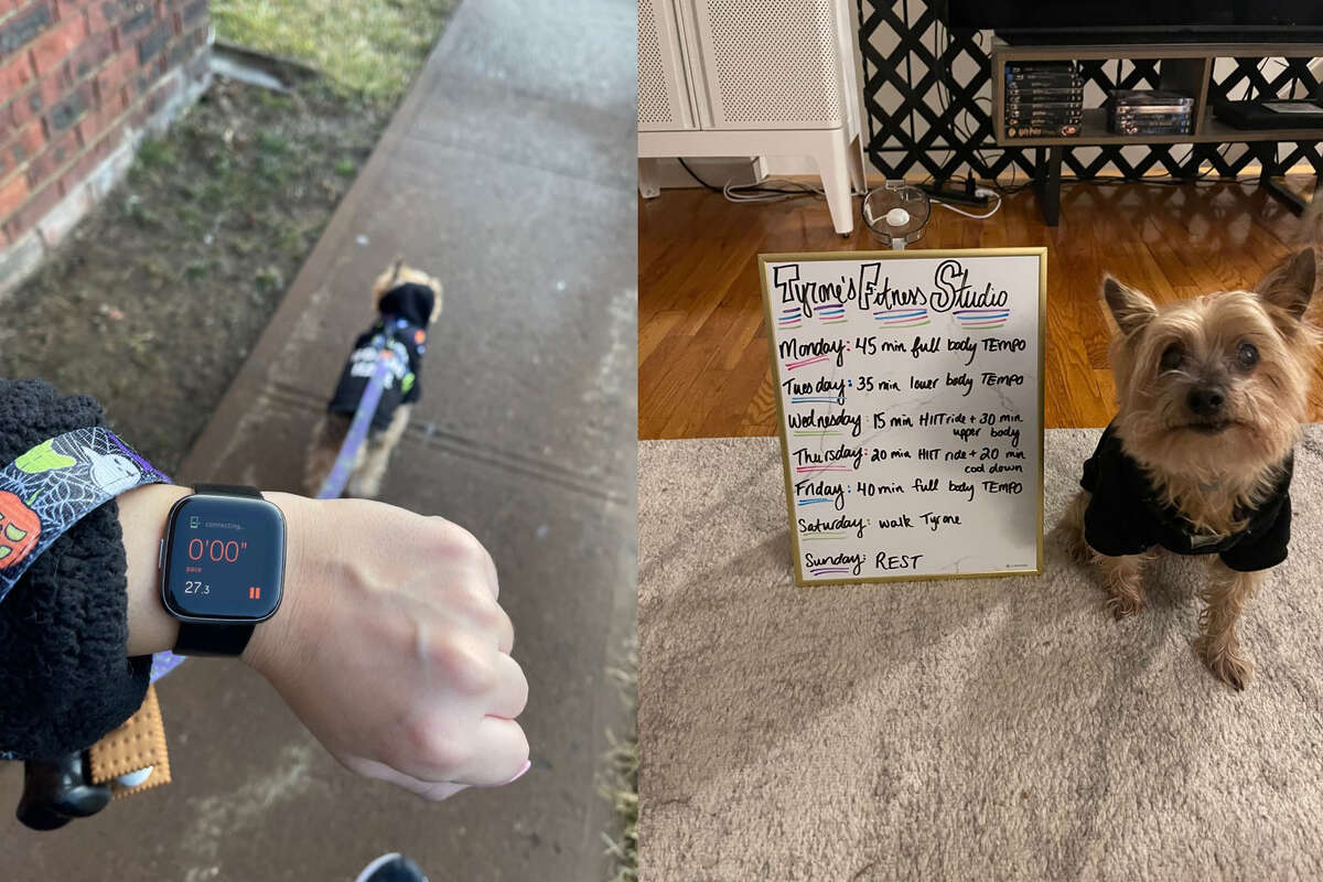 I walked 10,000 steps every day for a week