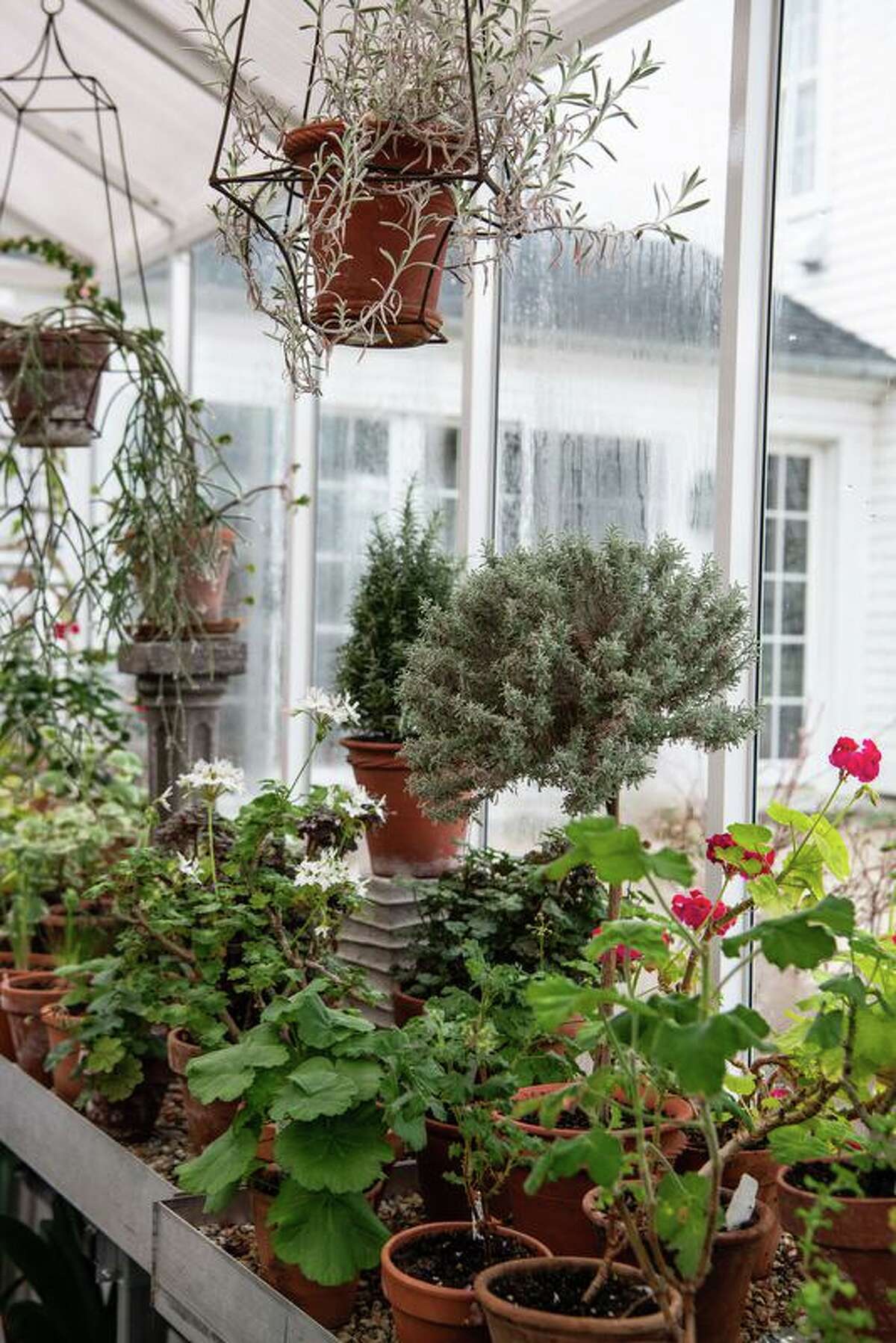 Winter Gardening with Bosco Schell and Page Dickey is being presented Feb. 7 at the Cornwall Library.