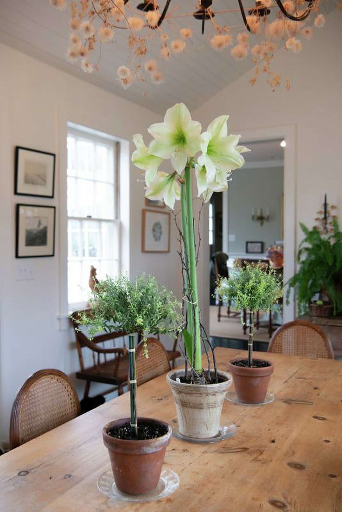 Winter Gardening with Bosco Schell and Page Dickey is being presented Feb. 7 at the Cornwall Library.