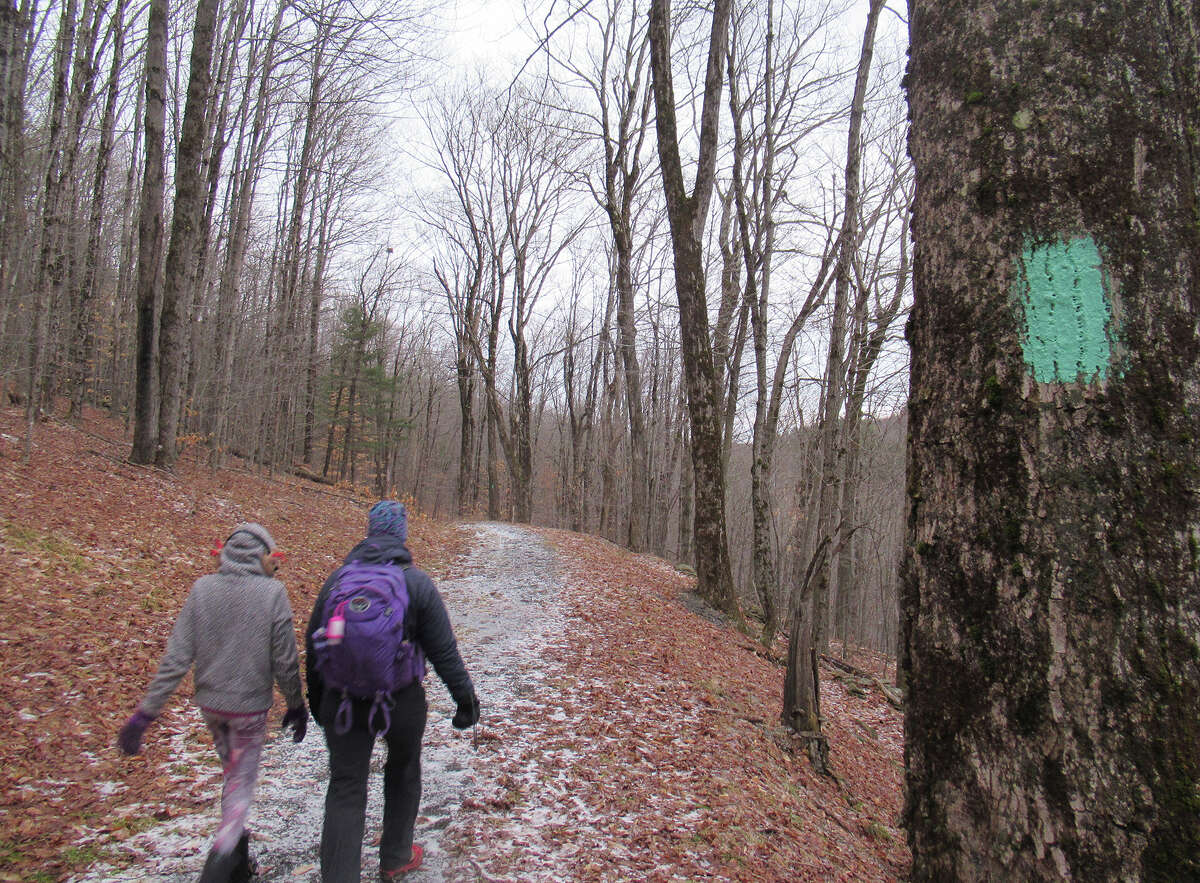 Gillian Scott and her daughter walk the Long Path through the Partridge Run Wildlife Management Area in Berne.