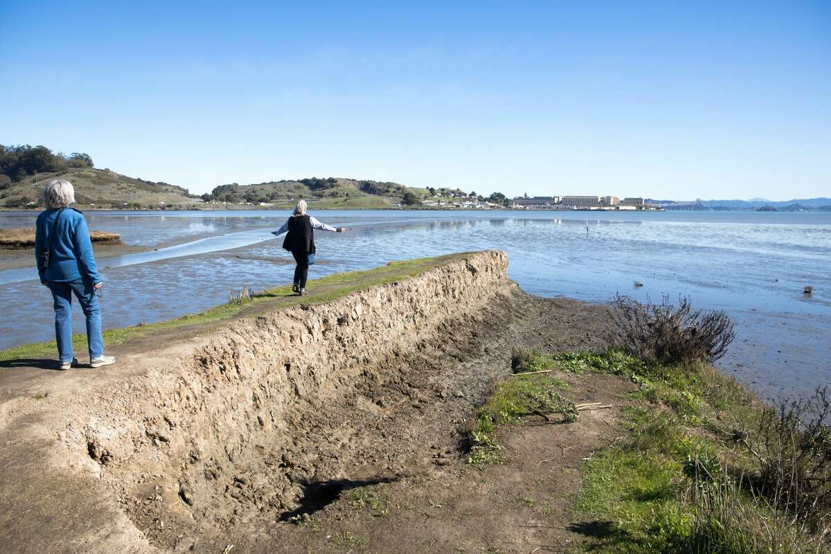 Two walkers head down a path to the edge of the water in restored marshland near the Corte Madera Marsh Ecological Reserve in Corte Madera, Calif. on Feb. 4, 2021. A newly restored marsh in Corte Madera, three decades in the making, opened to the public restoring vital habitat for endangered species and a new path along the San Francisco Bay.