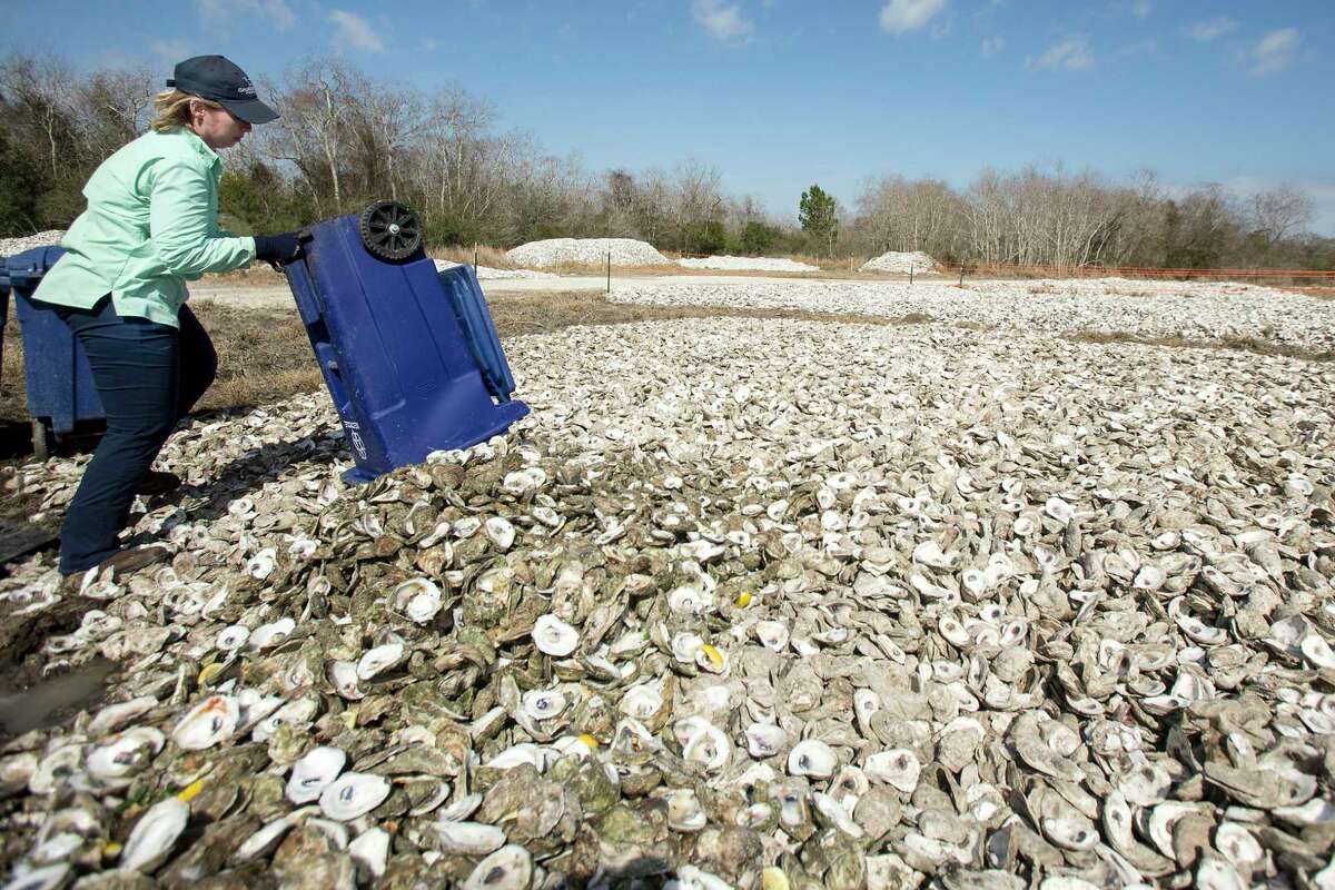 Scientists hope experimental sustainable harvesting model will help