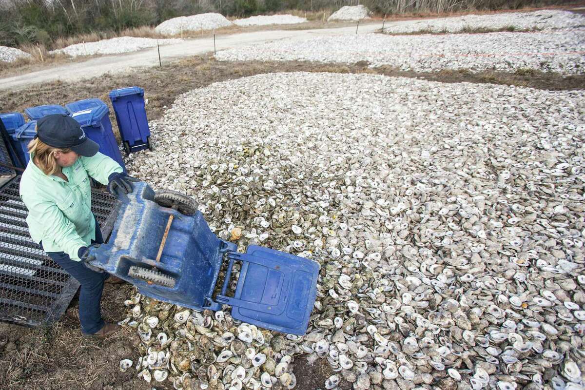 Scientists hope experimental sustainable harvesting model will help