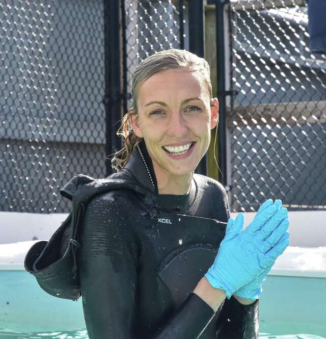 Mystic Aquarium worker jumps in freezing water to support marine