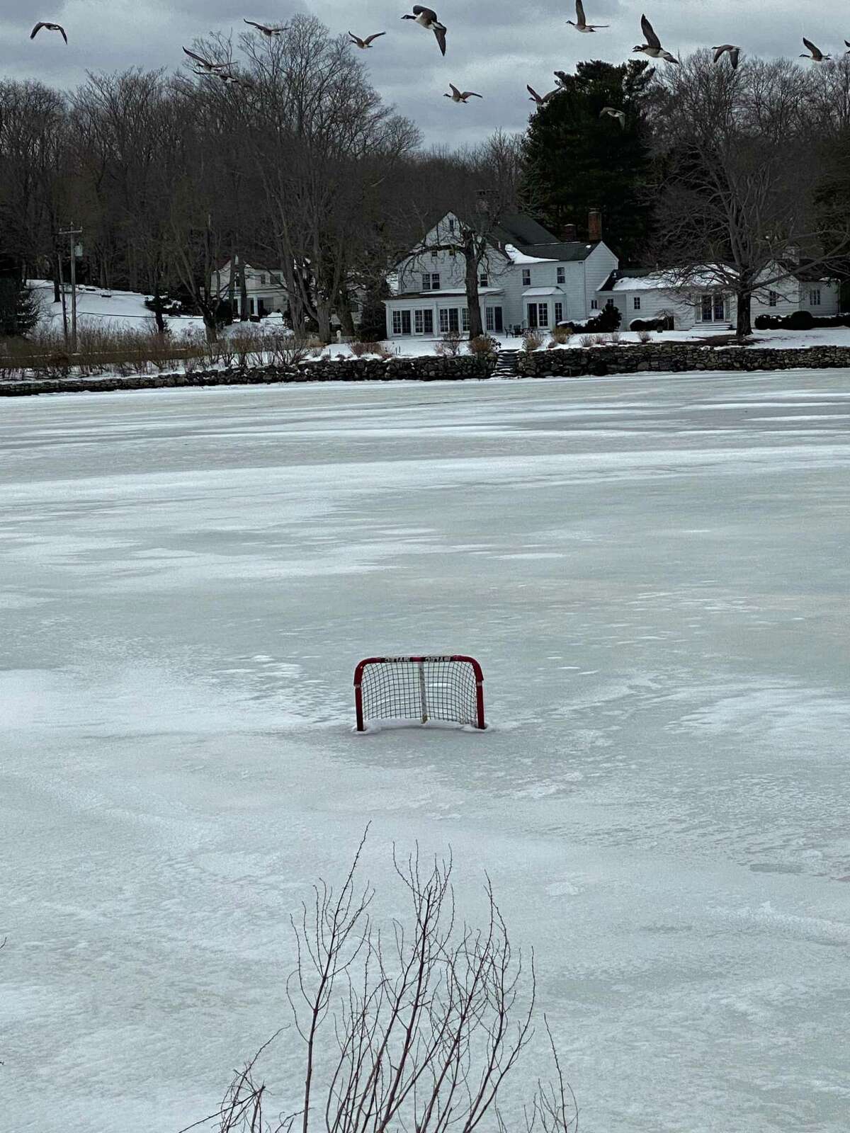 Friends of Gorham's Pond and neighbors implore those who use the pond for skating to clean up after themselves. A hockey net left in the melting ice will sink to the bottom and get stuck in the mud, creating a hazard for the many forms of widlife that call the pond home.