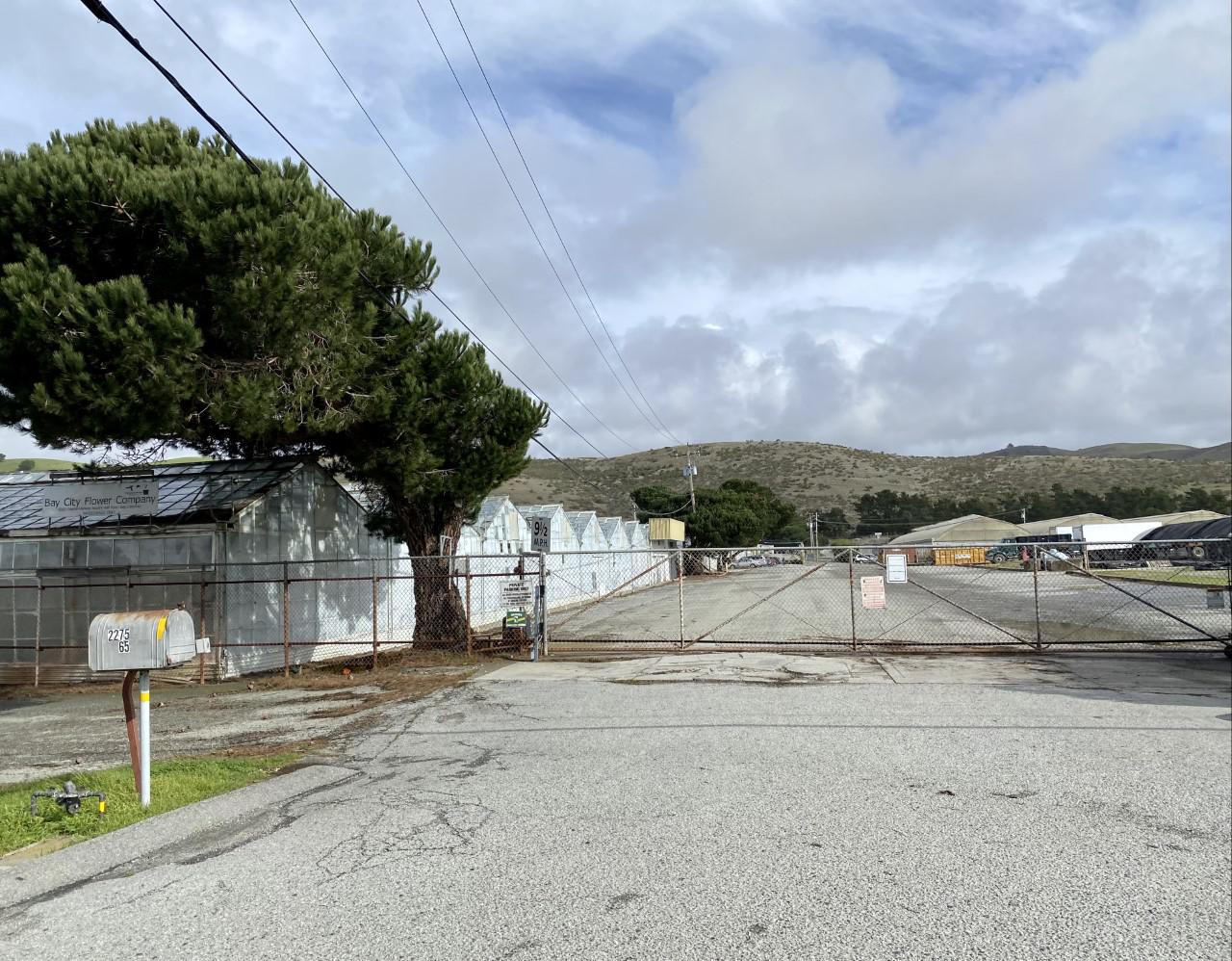 Hemp farmworkers in Half Moon Bay say they haven't been paid for 7 weeks - Vimarsana News
