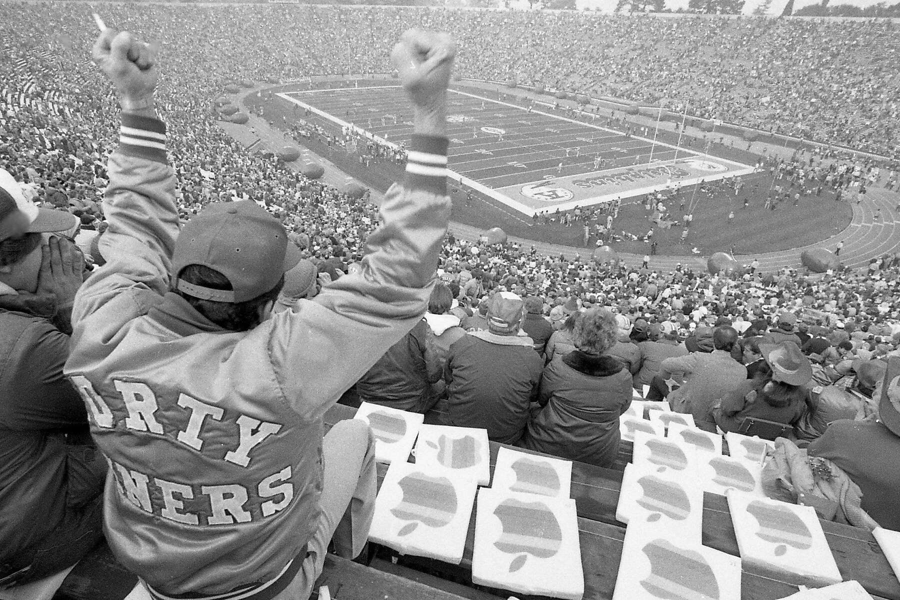 apple super bowl seat cushion