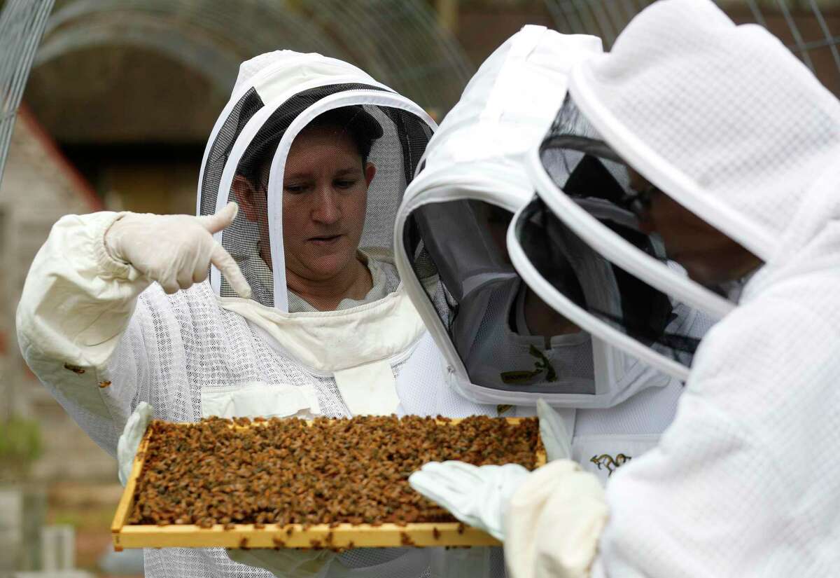 Beekeeper Nanette Davis, left, points out what she looks for when she inspects a hive to student Felicity Newby, center, and her mother, Angela, Thursday, Feb. 4, 2020, in Porter. The Montgomery County Beekeepers Association has expanded its youth program into a mentorship program where youth maintain their own bees to further their understanding about the profession and bees’ role in nature.