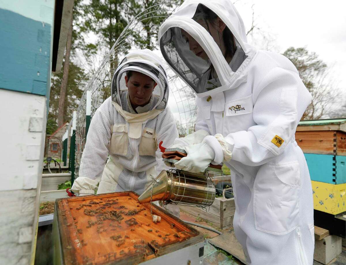 Felicity Newby, right, uses a smoker to calm a bee hive as beekeeper Nanette Davis looks on, Thursday, Feb. 4, 2020, in Porter. The Montgomery County Beekeepers Association has expanded its youth program into a mentorship program where youth maintain their own bees to further their understanding about the profession and bees’ role in nature.