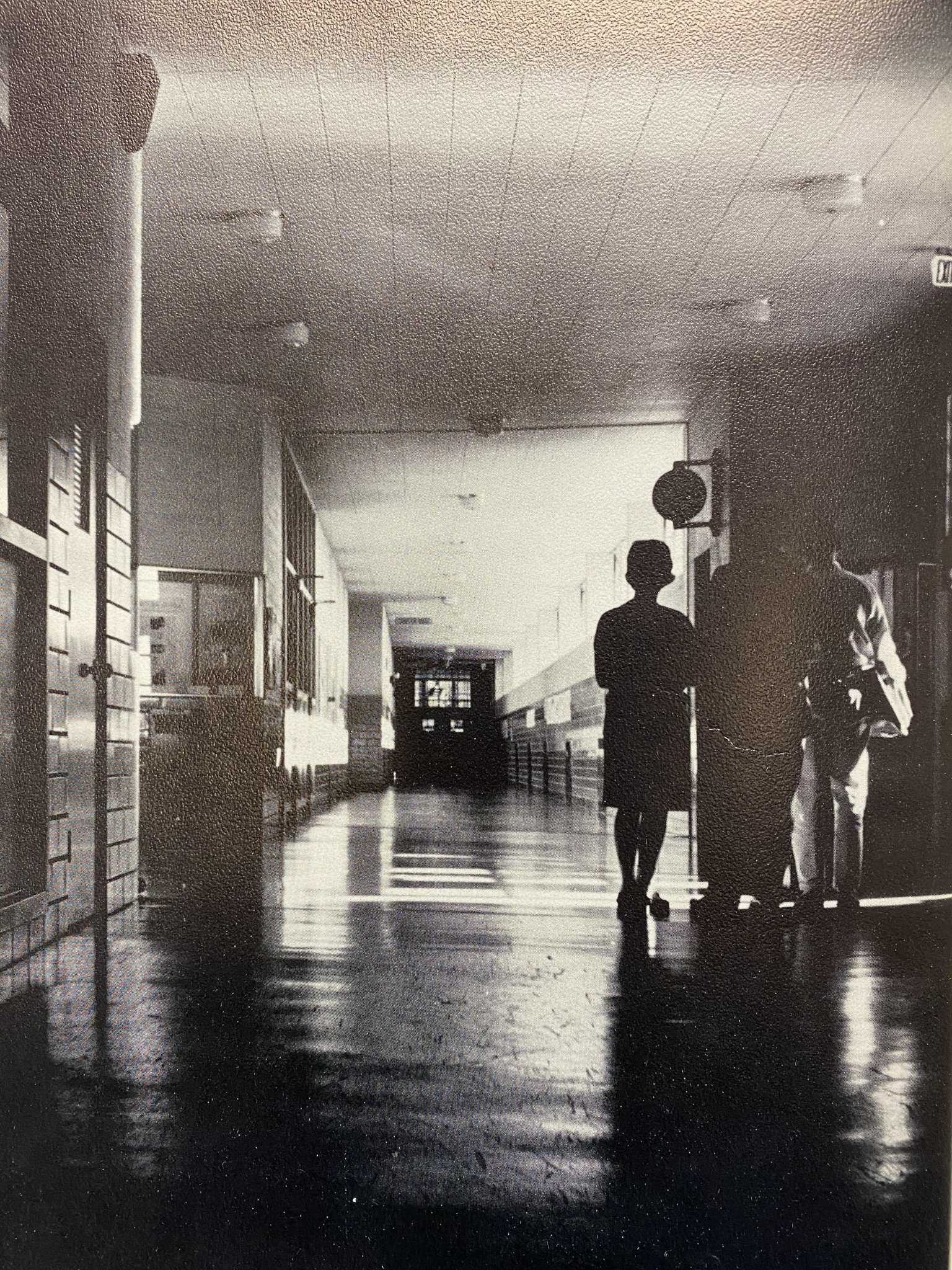 Alamo Heights alums seek fellow 'Black pioneers' who integrated the San Antonio suburb's schools - Vimarsana News