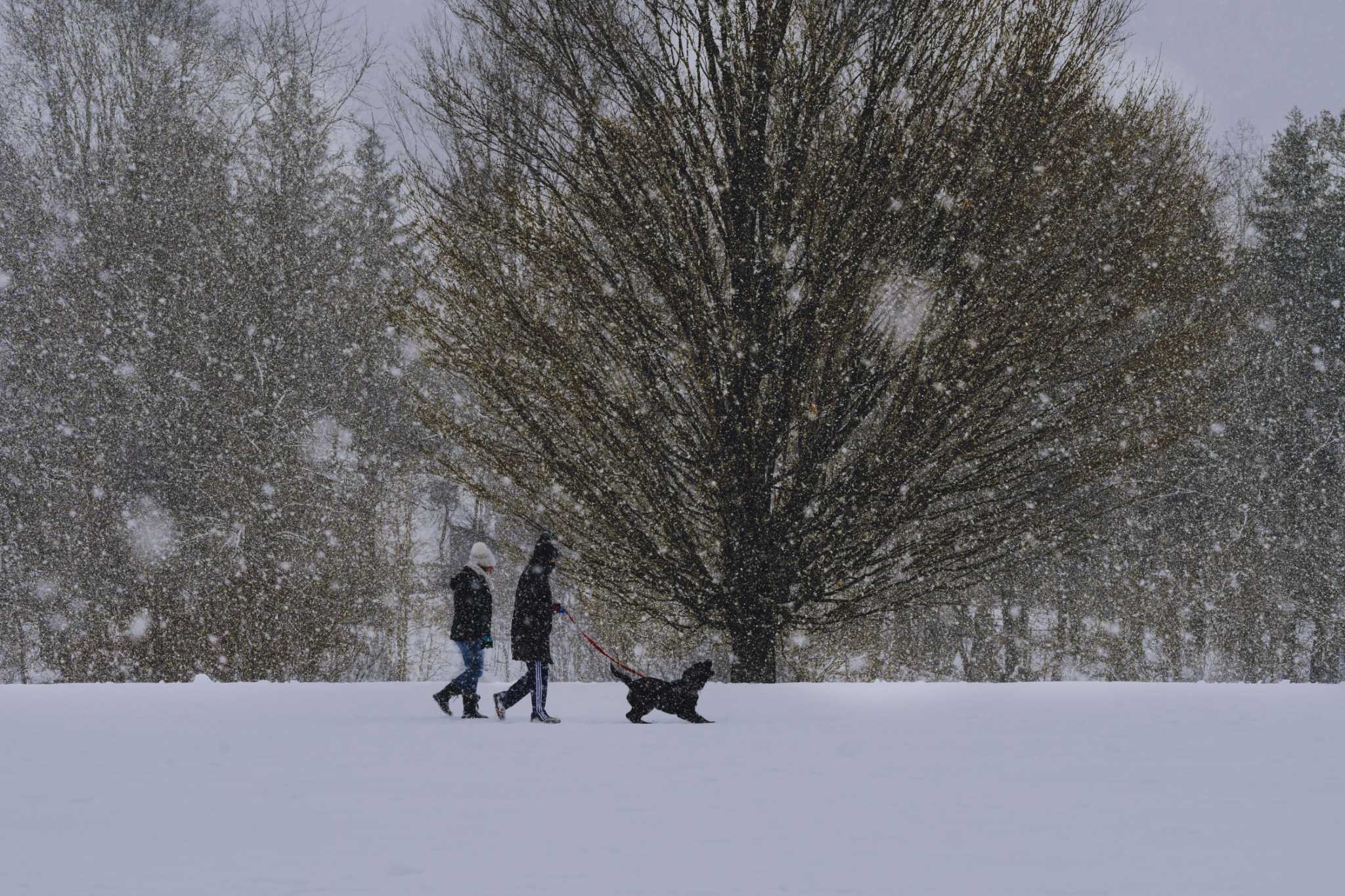 Snowfall could leave roads slippery in Albany area - Vimarsana News